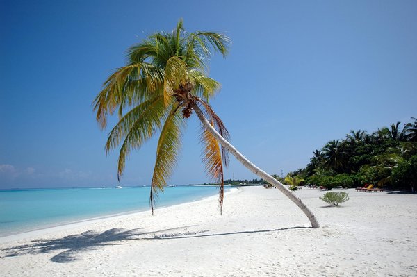 Quels sont les secrets pour une randonnée réussie dans les montagnes de la Sierra Nevada, Espagne?