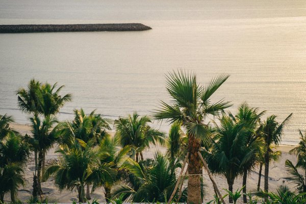 Quelles croisières permettent de découvrir les traditions culinaires en Amérique centrale?