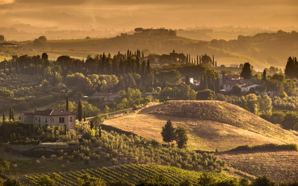 Comment choisir une location de vacances en Toscane avec des cours de cuisine végétalienne et des visites de fermes locales?
